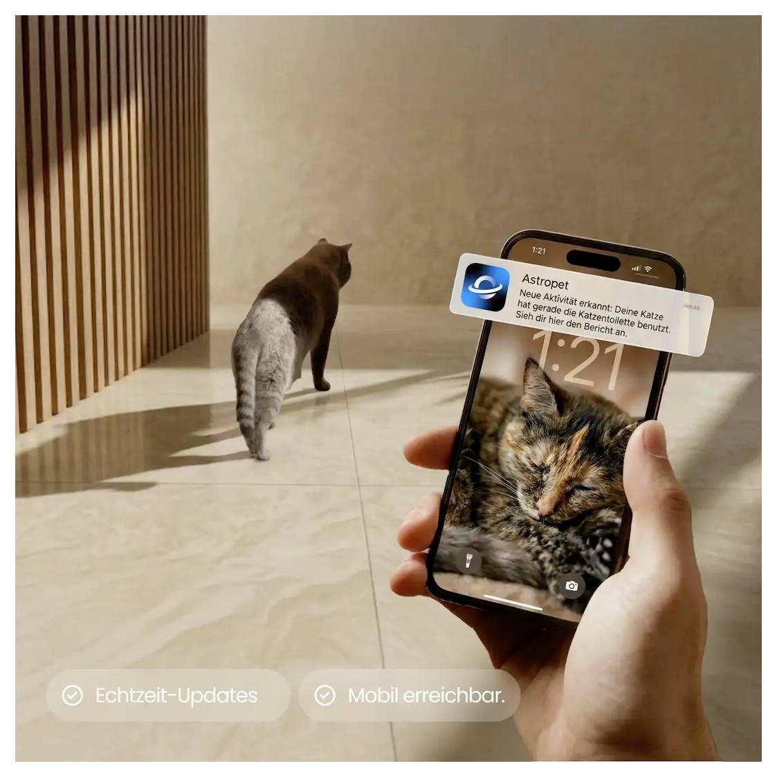 Eine Hand hält ein Telefon, das ein Katzen-Hintergrundbild und eine 