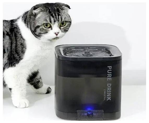 Petkit Eversweet Solo SE Katzenbrunnen leise, Trinkbrunnen Grau Trinkbrunnen 1St.