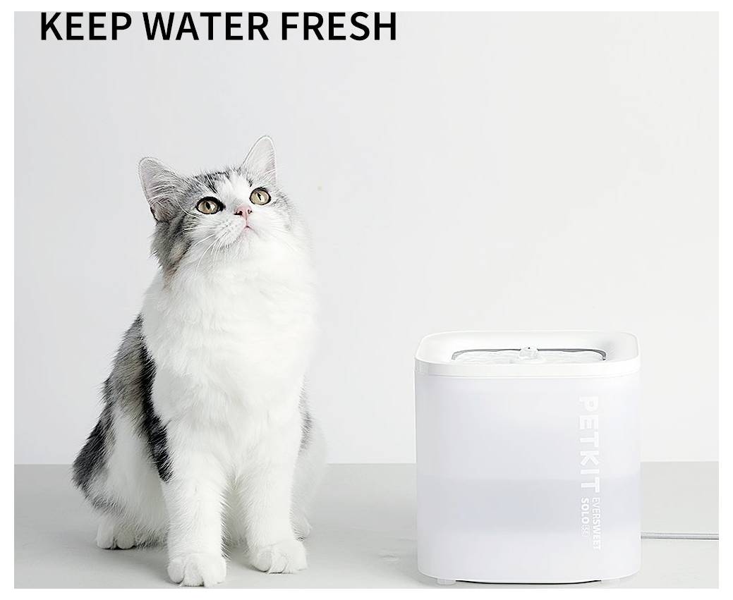 Petkit Eversweet Solo SE Katzenbrunnen leise, Trinkbrunnen Weiß Trinkbrunnen 1St.