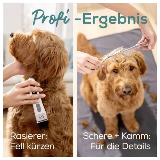Beurer PP 110 Fluffy Fellschneider Tierhaarschneider Weiß, Grau 1St.