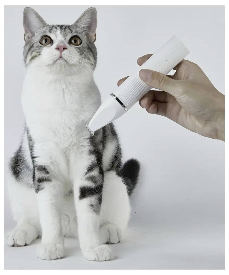 Hand, die ein elektrisches Grooming-Werkzeug in der Nähe einer sitzenden grau-weißen Katze vor einem einfachen Hintergrund verwendet.