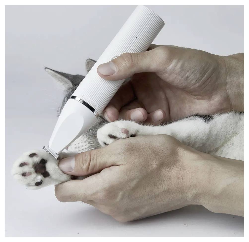 Hände trimmen sanft das Pfotenfell einer Katze mit einem weißen elektrischen Haustierschneider auf hellem Hintergrund.