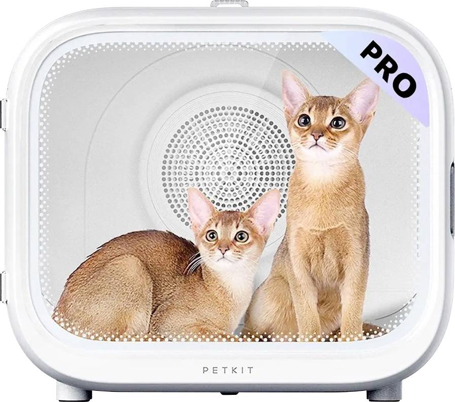 Zwei Kätzchen in einer weißen intelligenten PETKIT-Tierbox, gekennzeichnet mit „PRO