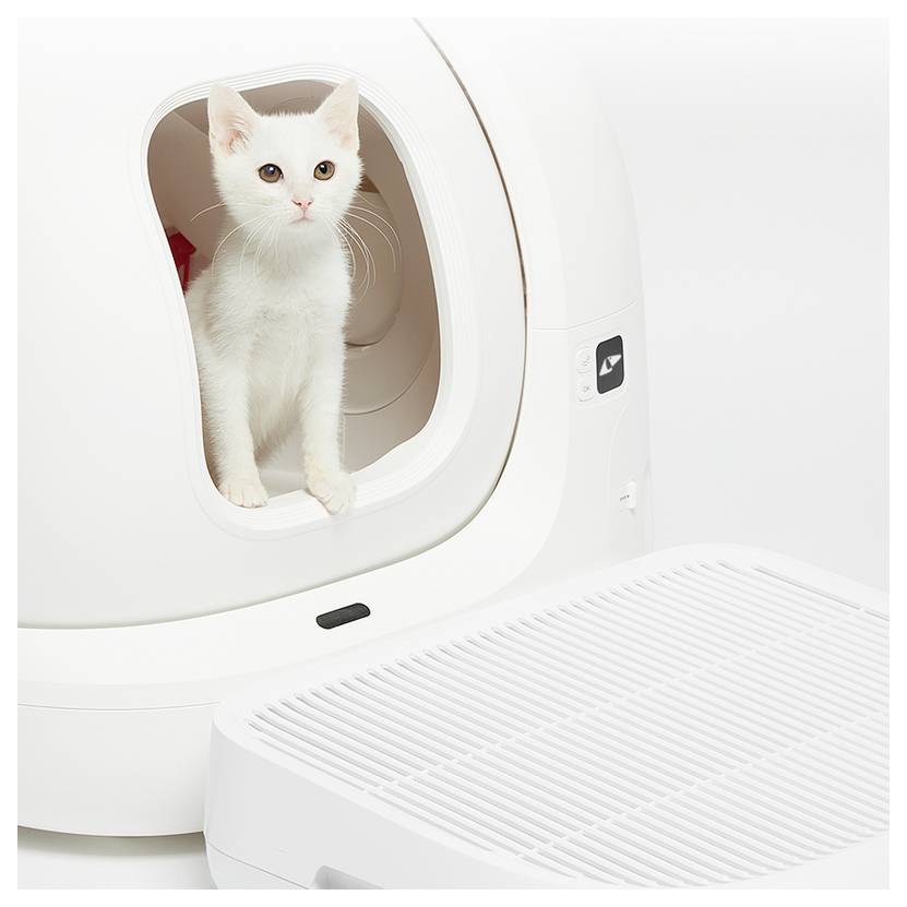 Weiße Katze, die in der Tür einer überdachten Katzentoilette oder einem Haustier-WC steht, mit einem weißen Tablett daneben.