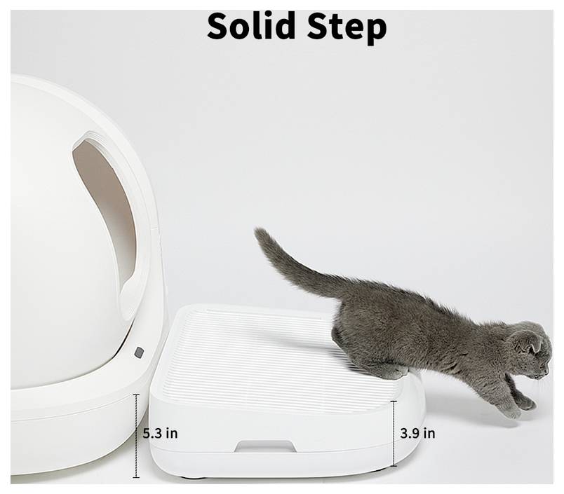 Eine graue Katze tritt aus einer Katzentoilette auf einen weißen Haustiertritt mit der Aufschrift „Solid Step