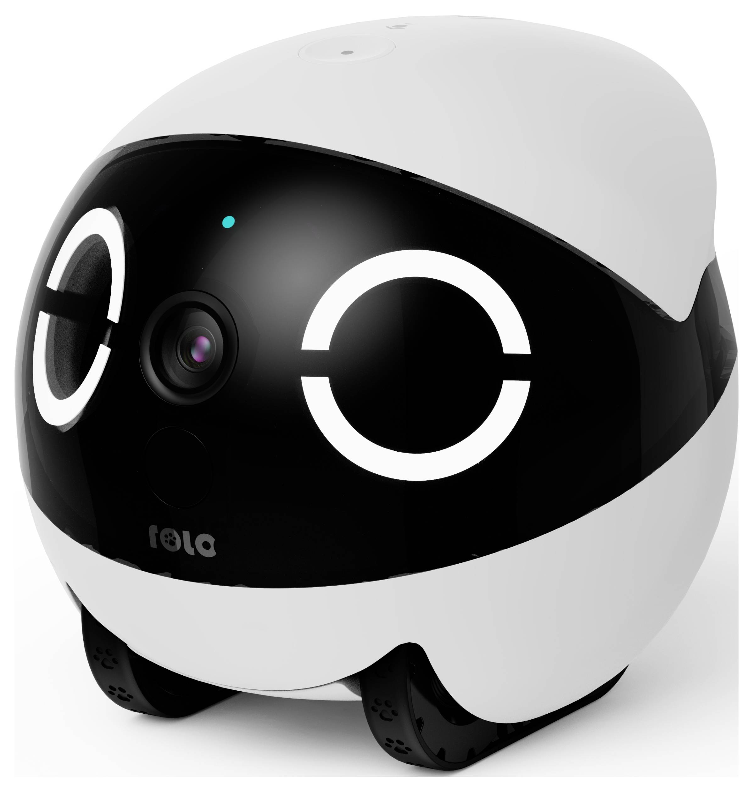 EnaBot ROLA Mini Haustierbegleiter Haustier-Roboter Weiß, Schwarz 1 St.