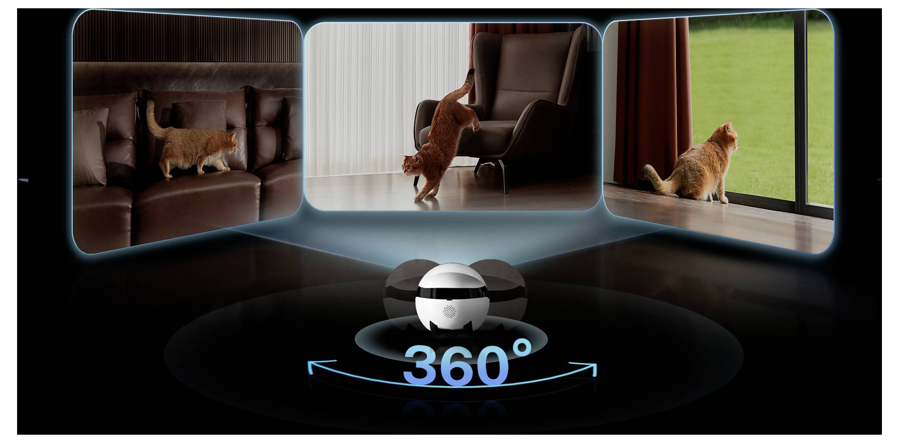 Drei Ansichten einer Katze auf einem Stuhl neben einem Fenster zeigen eine 360-Grad-Betrachtung des Motivs.