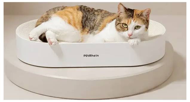PetRhein Kratzpappe Zen Paw weiß Kratzpappe Weiß, Beige 1St.