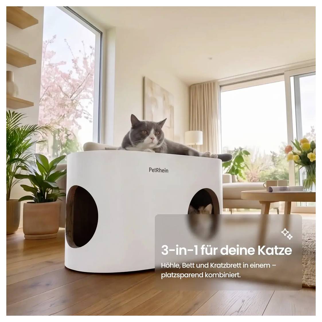 Grauer Kater, der auf einem weißen PetRhein 3-in-1-Katzenbett mit Höhle und Kratzer faulenzt, gezeigt in einem hellen Wohnzimmer; deutscher Text sagt 