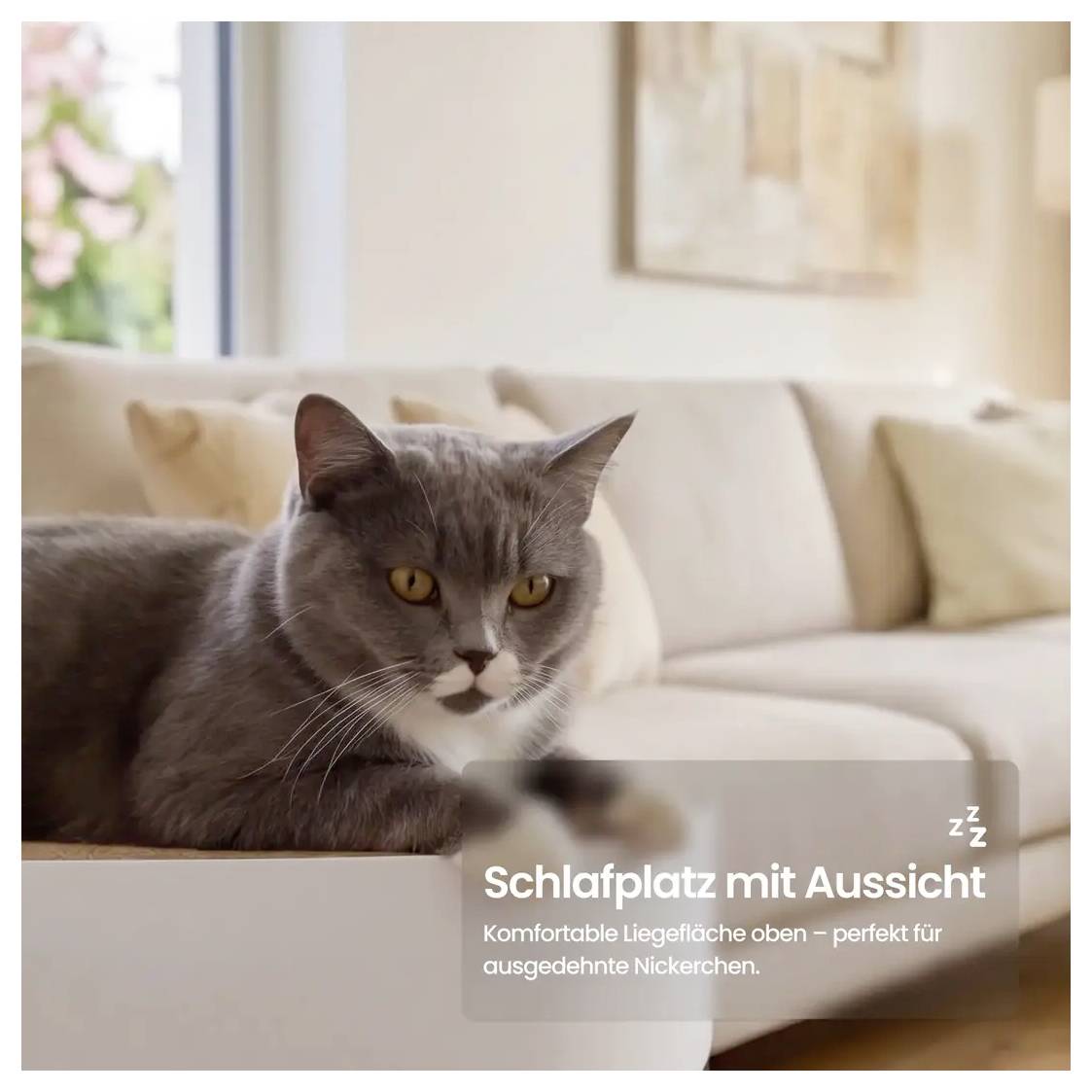 Graue Katze ruht auf einem erhöhten Bett neben einem Sofa, mit deutschem Text: „Schlafplatz mit Aussicht