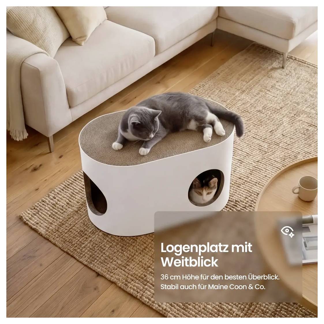 Katze, die sich auf einem erhöhten Karton-Kratzbett im Wohnzimmer entspannt; deutscher Text sagt 