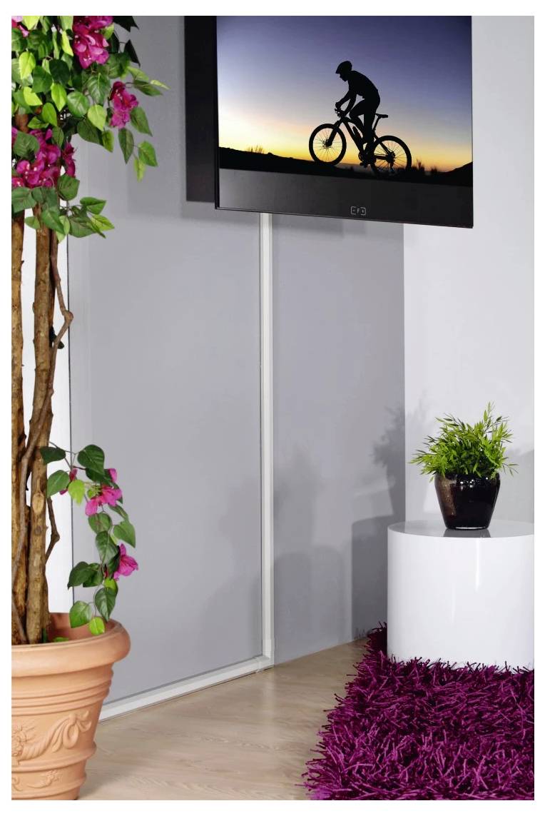Flacher Fernseher an der Wand montiert, zeigt einen silhouettierten Radfahrer bei Sonnenuntergang, mit Zimmerpflanzen und einer Topfpflanze auf einem Podest daneben.
