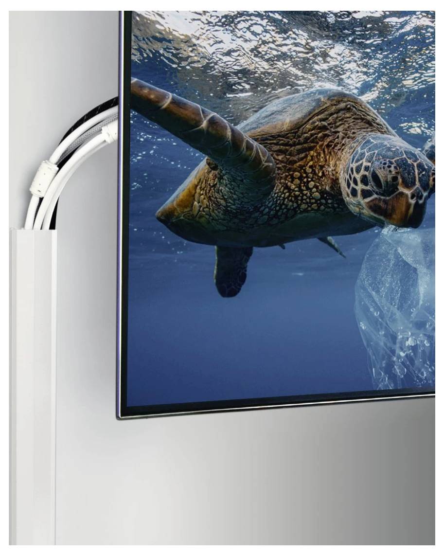 An der Wand montiertes Display, das eine Meeresschildkröte zeigt, die unter Wasser schwimmt, mit sichtbaren Kabeln entlang der linken Kante.