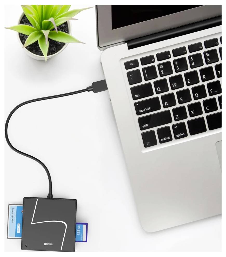Laptop, der über ein Kabel mit einem Kartenleser verbunden ist, in den zwei Speicherkarten eingesetzt sind, neben einer kleinen Topfpflanze auf einem weißen Schreibtisch.