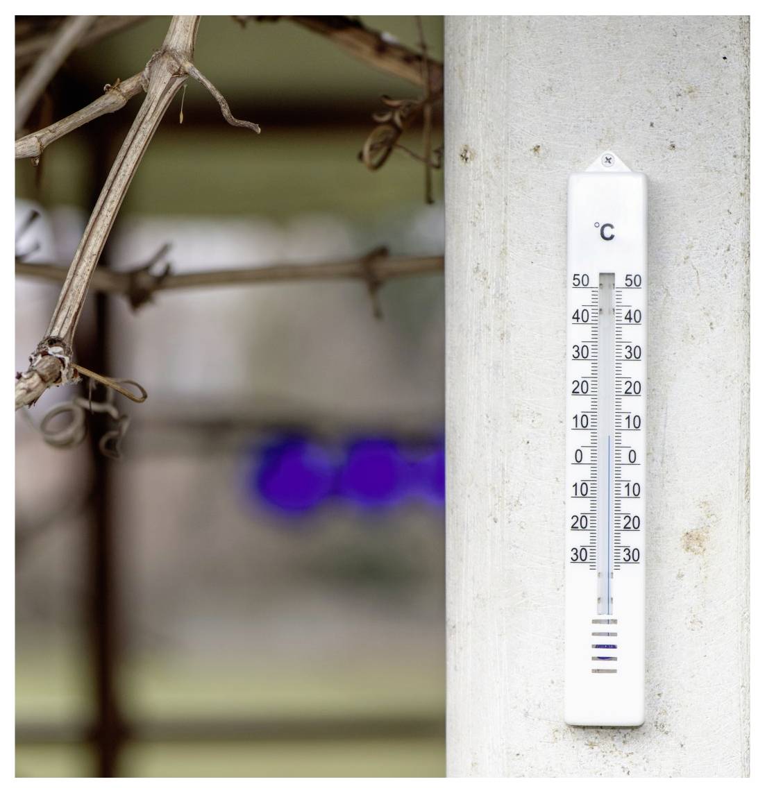 Ein auf einem Pfosten montiertes Außenthermometer zeigt etwa 15°C, wobei verschwommene Äste und ein Zaun im Hintergrund zu sehen sind.