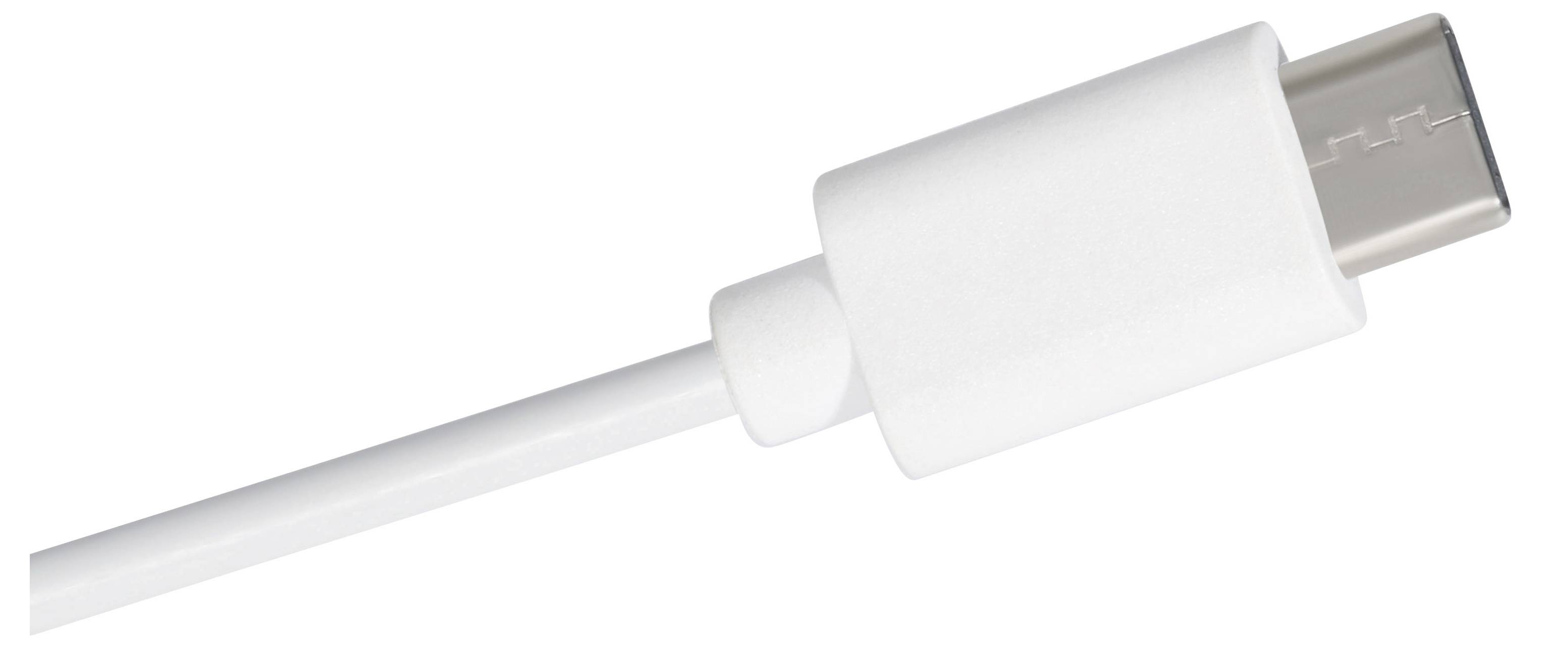 Nahaufnahme eines weißen USB-C-Ladekabel-Steckers mit weißer Zugentlastung auf einfachem Hintergrund.