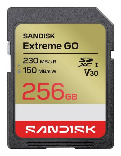 SanDisk Extreme GO microSDXC-Karte 256 GB UHS-I U3 Temperaturbeständig