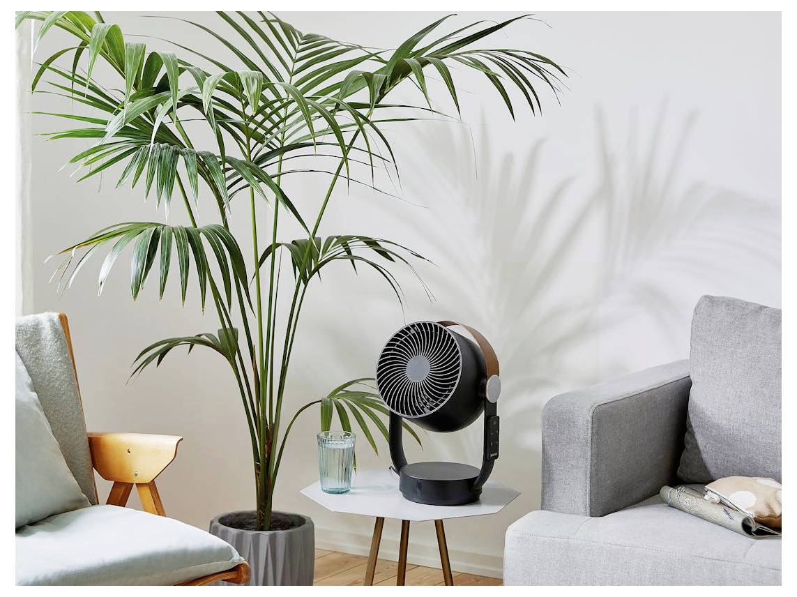 Eine Topfpalme steht zwischen zwei Sofas neben einem kleinen Tisch mit einem schwarzen Ventilator in einem hellen Wohnzimmer.