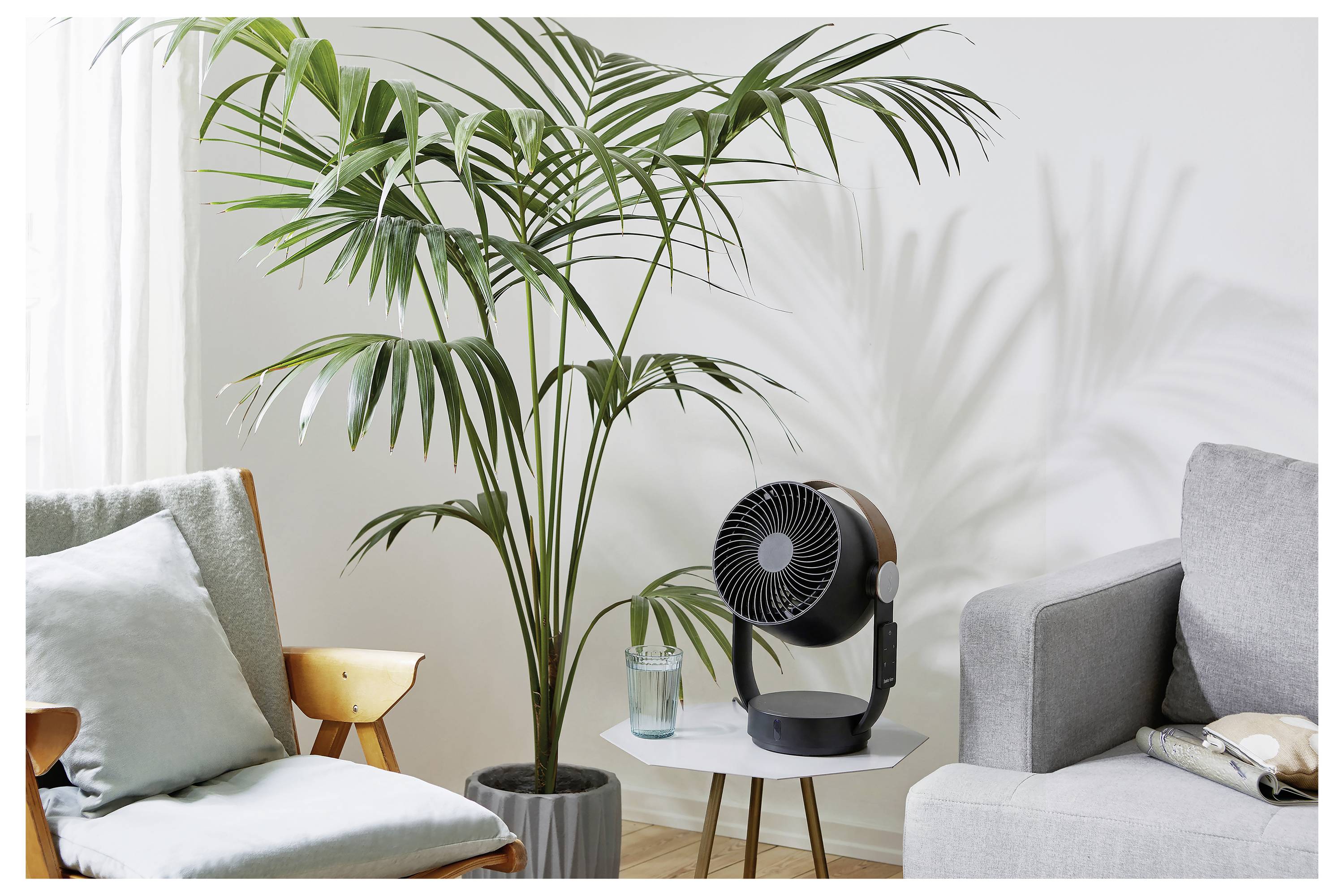 Modernes Wohnzimmer mit einer hohen Topfpalme, einem kleinen Tischventilator auf einem Beistelltisch und Sofas in der Nähe eines hellen Fensters.