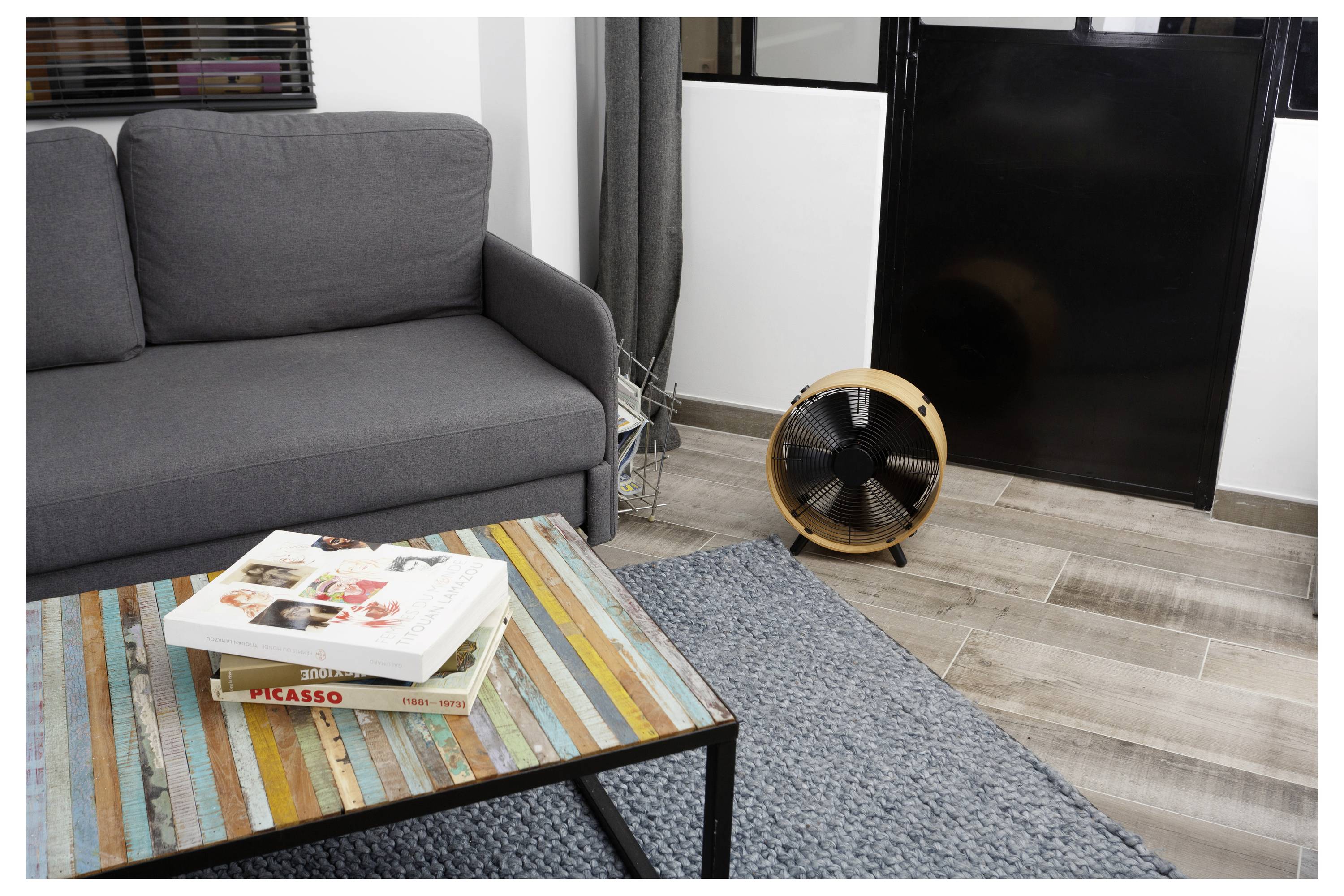 Wohnzimmer mit grauem Sofa, Couchtisch mit Büchern, blauem Teppich und einem kleinen Standventilator neben dem Fenster.
