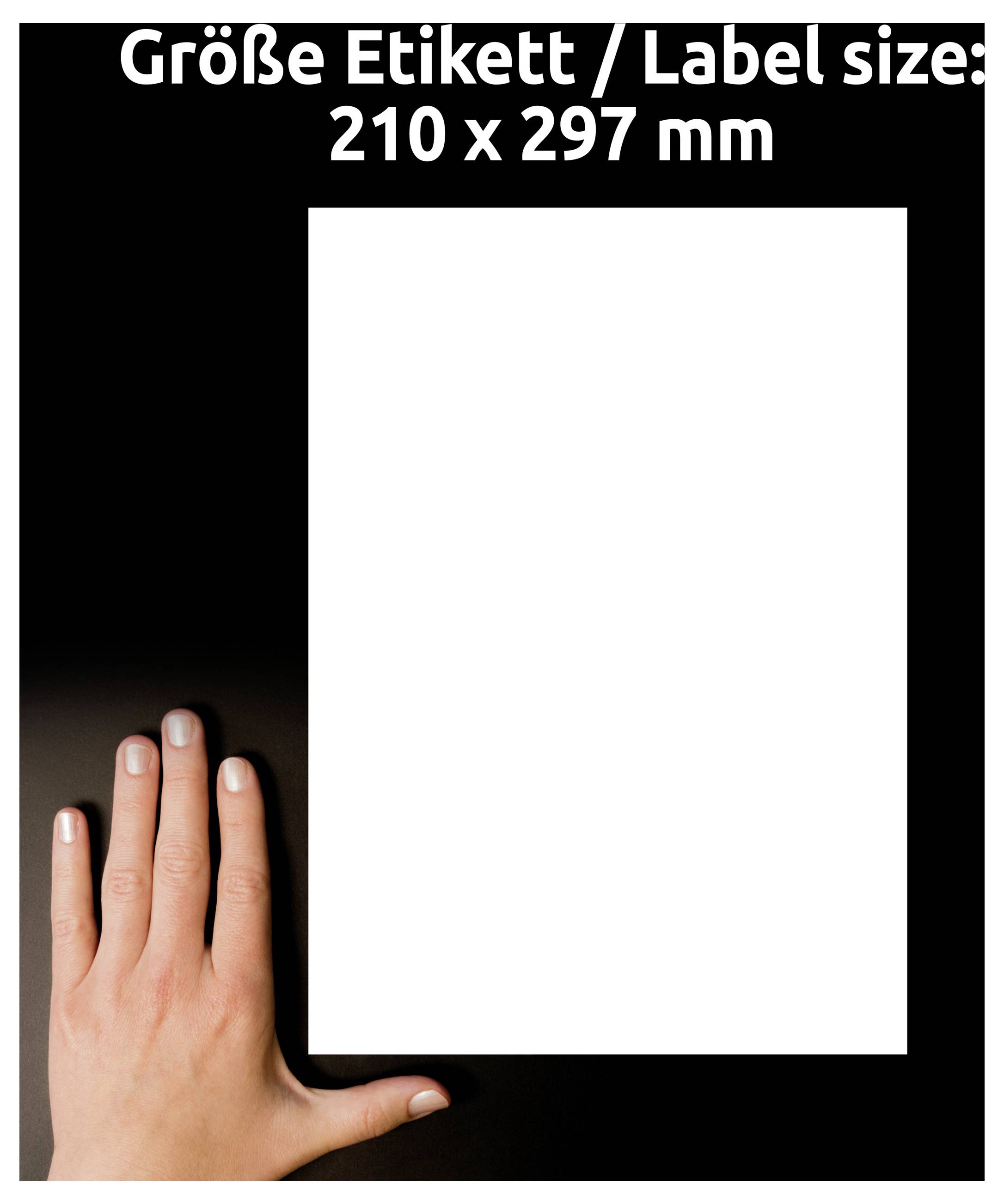 Hand neben einer leeren weißen Etikettvorlage mit der Beschriftung „Größe Etikett/Label size: 210 x 297 mm