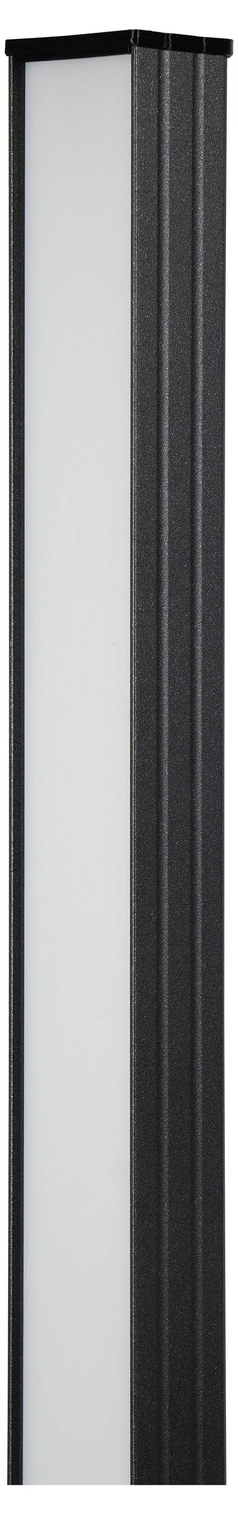Eine hohe schwarz gerahmte Glastür oder ein Panel mit mattiertem Glas, vertikal gegen einen weißen Hintergrund gezeigt.