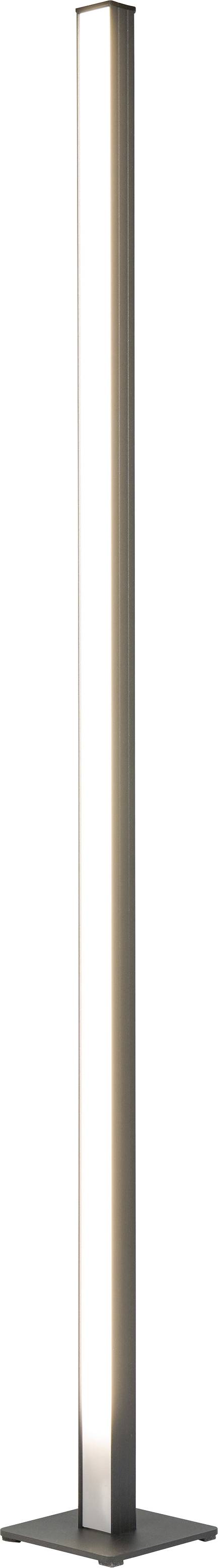 Hohe schlanke moderne Stehleuchte mit einem schmalen vertikalen Lichtstreifen und dunkler quadratischer Basis auf weißem Hintergrund.