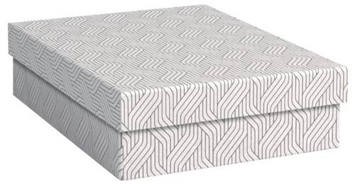 Leitz Aufbewahrungsbox VON Weiß 7 l (B x H x T) 265 x 100 x 365 mm 3 St.