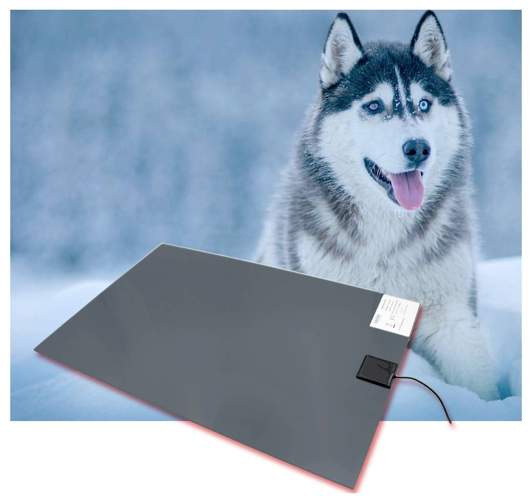 Husky neben einem flachen schwarzen Solarpanel mit verbundenem Kabel, in einer verschneiten Außenszene.