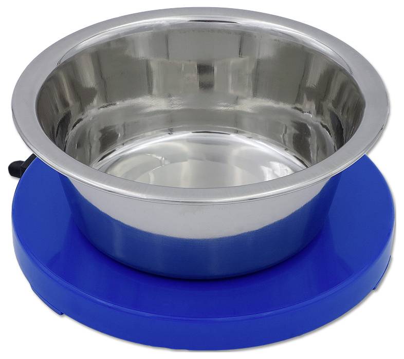 Edelstahlschüssel auf einer blauen kreisförmigen Basis, wahrscheinlich ein Haustier-Futter- oder Wassernäpf.