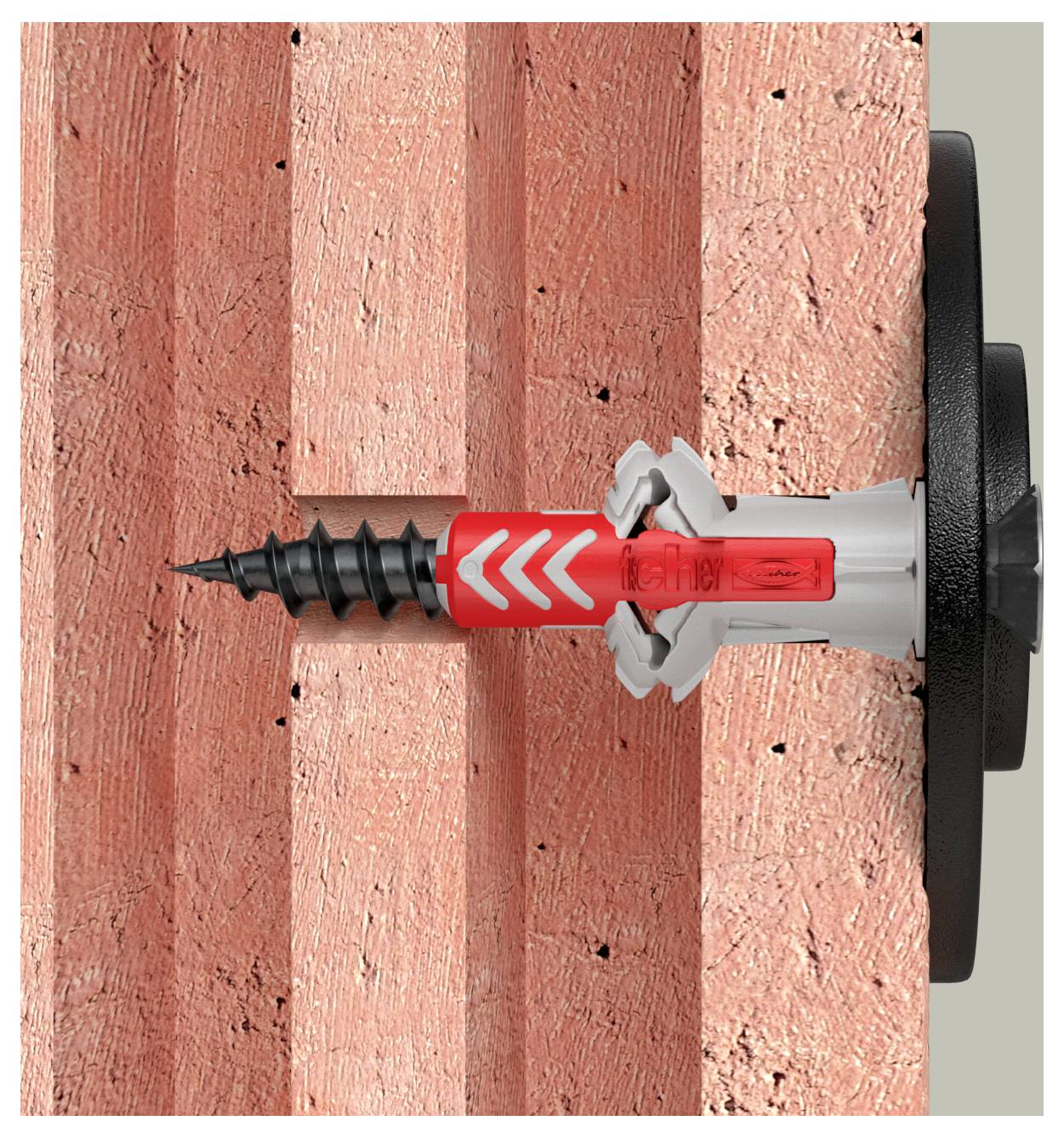 Ein Schraubanker mit einer schwarzen Schraube ist horizontal in ein Holzbrett eingebaut und zeigt den Anker, der im Material greift.