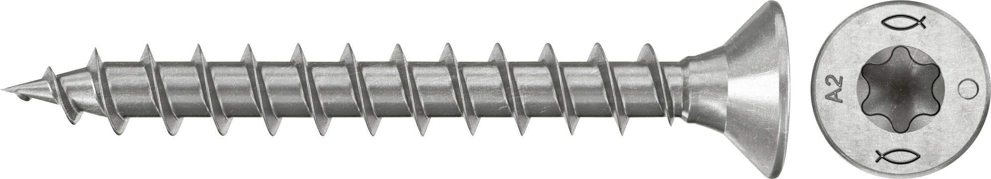 Nahaufnahme einer silbernen Schraube mit spitzer Spitze und Philipps-Kopf, horizontal dargestellt mit einer separaten vergrößerten Ansicht des Kopfes.