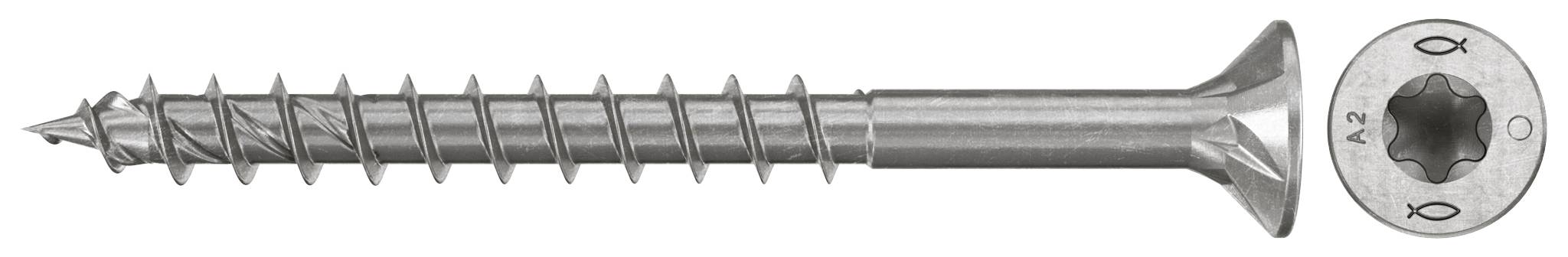 Eine Metallschraube mit spitzer Spitze und breitem Kopf in Seitenansicht, mit einer Nahaufnahme des Torx-ähnlichen Antriebs auf dem Kopf.