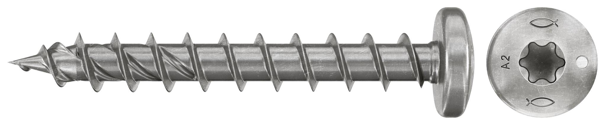 Zwei silberfarbene Metallschrauben nebeneinander gezeigt: eine lange Kreuzschlitz-Schraube mit Unterlegscheibe und eine Nahaufnahme ihres Torx-ähnlichen Antriebskopfes.