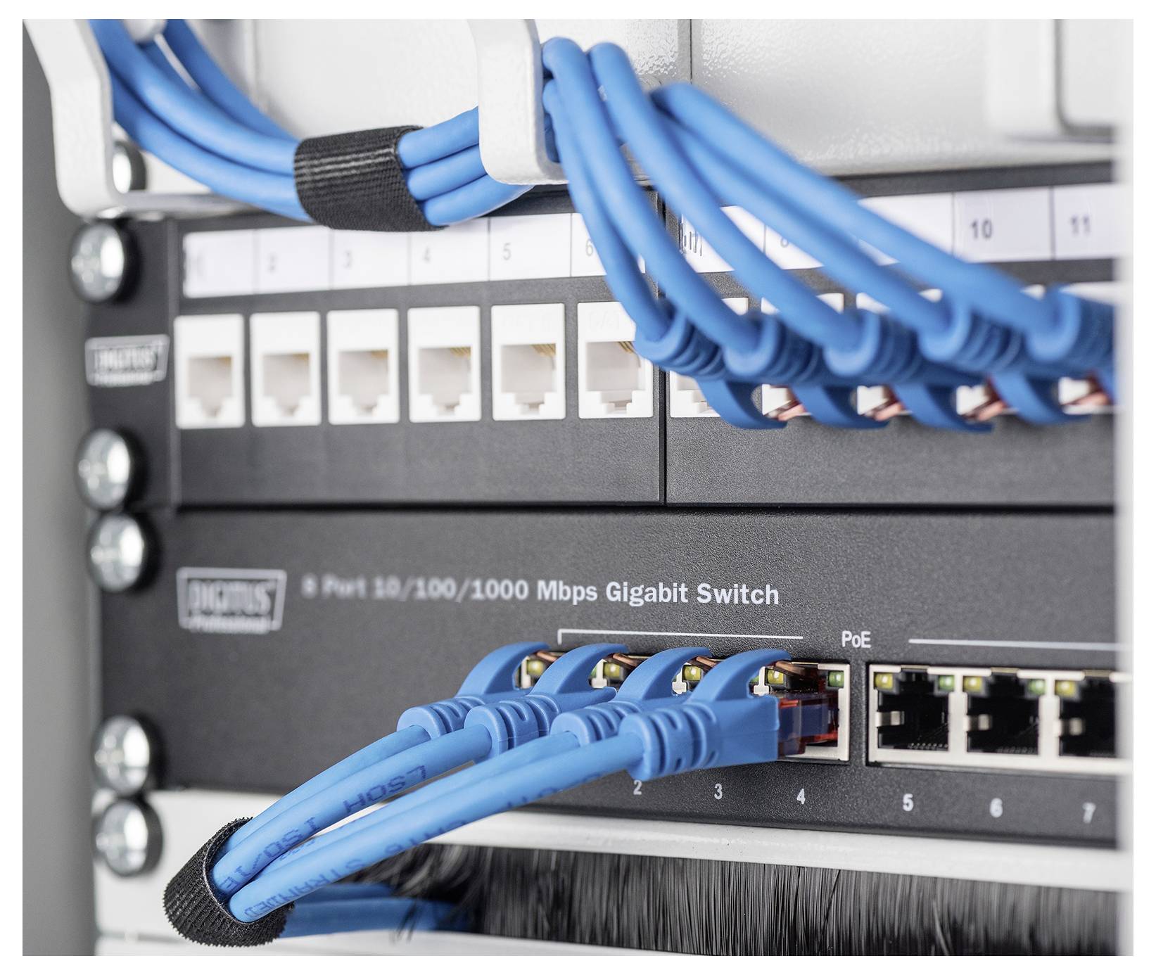 Nahaufnahme eines Netzwerk-Switches mit mehreren blauen Ethernet-Kabeln, die in nummerierte Anschlüsse in einem Server-Rack eingesteckt sind.