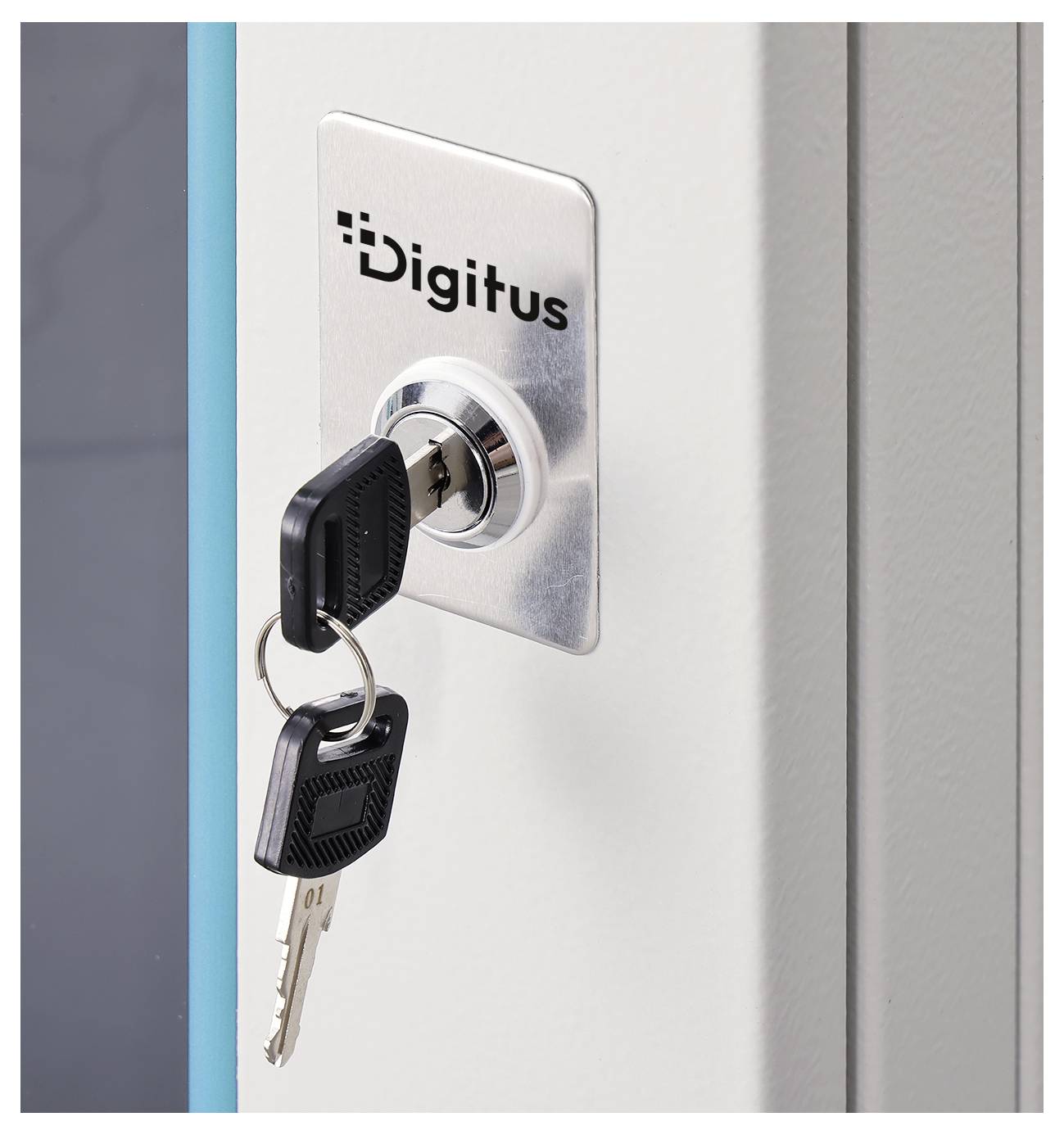 Nahaufnahme eines Digitus-Schrankschlosses mit eingestecktem Schlüssel, was auf einen sicheren Zugriff auf ein verschlossenes Gerätegehäuse hindeutet.