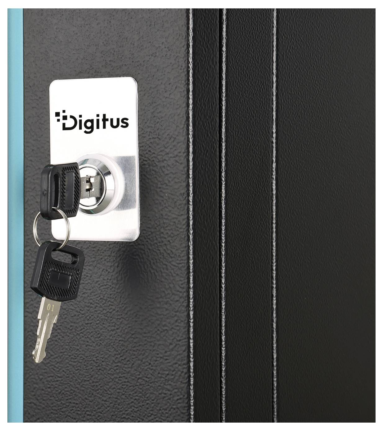Nahaufnahme eines Digitus-Schlosses an einer schwarzen Schrank- oder Serverrack-Tür mit eingesteckten Schlüsseln, die am Schloss hängen.
