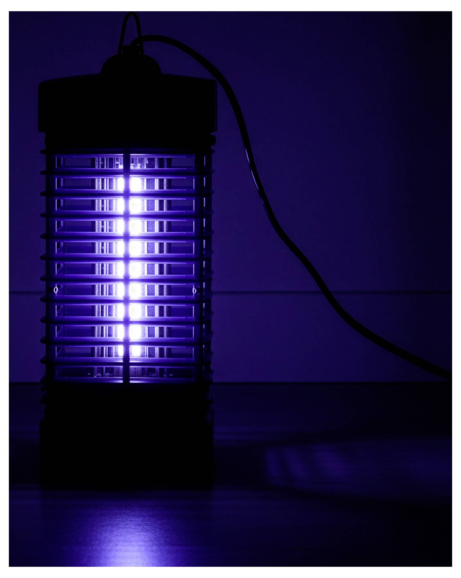 Beleuchteter elektrischer Insektentöter, der in Innenräumen in einem dunklen Zimmer steht und in Purpurblau leuchtet, mit einem Stromkabel, das sich nach rechts erstreckt.