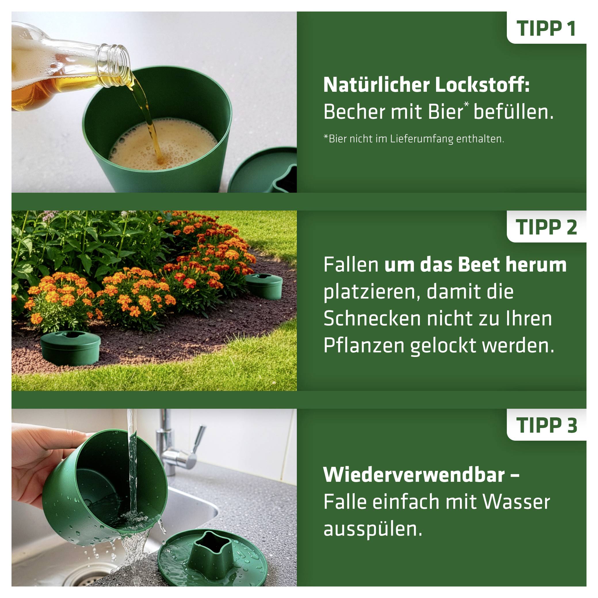 Infografik mit drei Tipps gegen Schnecken: Bier in Becher füllen, Becher um das Beet platzieren, Falle mit Wasser ausspülen.