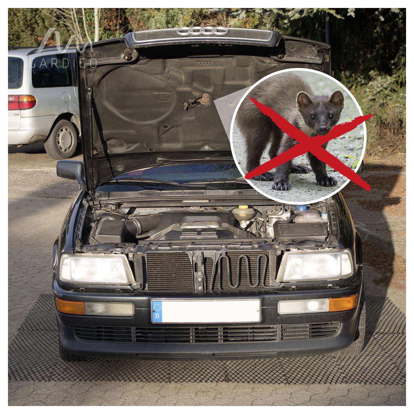 Schwarzes Auto mit offener Motorhaube und freiliegendem Motor, überlagert mit einem durchgestrichenen Wildtier-Einsatz, Warnung vor Tiereingriffen unter der Motorhaube.