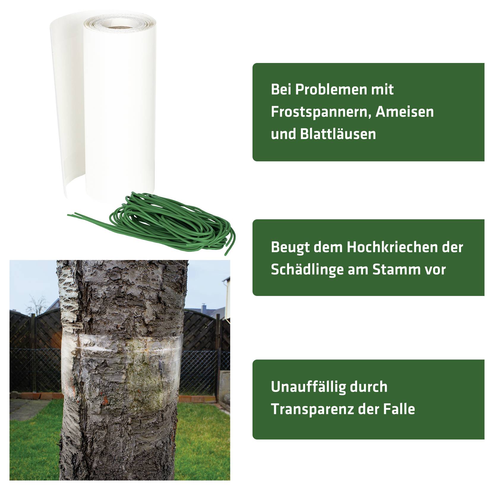 Baumrindenschutz-Falle mit Rolle und grünem Band; schützt vor Frostspannern, Ameisen und Blattläusen und verhindert Schädlingsaufstieg am Stamm.