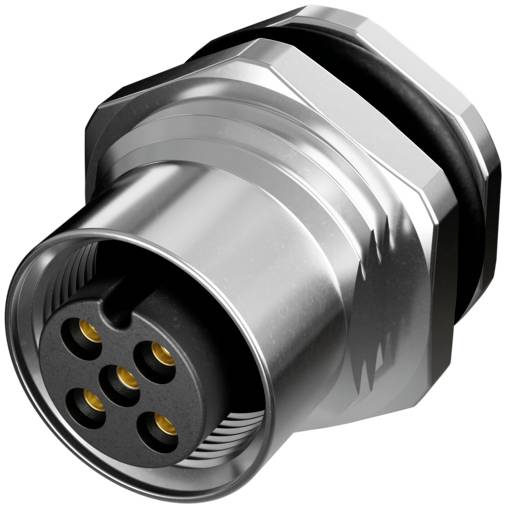 Nahaufnahme eines metallischen kreisförmigen Elektrosteckers mit fünf vergoldeten Stift-Buchsen und einer schwarzen Rückseitendichtung auf weißem Hintergrund.