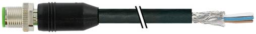 Nahaufnahme eines Koaxialkabels mit einem F-Stecker auf der linken Seite und freiliegter innerer Verdrahtung auf der rechten Seite, das den Querschnitt des Kabels zeigt.