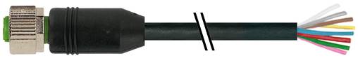Schnittansicht eines Ethernet-Kabels mit einem Stecker auf der linken Seite, der in der Mitte aufgeteilten Kabelmantel und mehreren farbigen freiliegenden Innendrähten auf der rechten Seite.