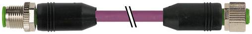 Ein violettes Kabel mit schwarzen Steckverbindern an beiden Enden, nebeneinander auf weißem Hintergrund gezeigt.