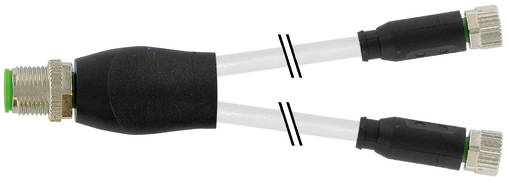 Koaxiales Signalaufteilerkabel mit einem weiblichen Stecker an einem Ende und zwei männlichen Steckern am anderen Ende, dargestellt mit Doppelleitungen aus einem schwarzen Gehäuse.