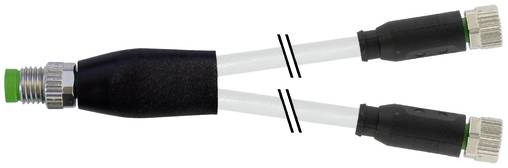 Y-förmiges Glasfaserkabel mit Splitter, schwarzer Zentralmanschette, ein Stecker auf der linken Seite und zwei Stecker auf der rechten Seite