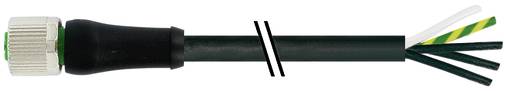 Schwarzes Kabel mit einem silbernen Gewindestecker auf der linken Seite und vier farbcodierten Drahtenden auf der rechten Seite, dargestellt mit einer Bruchmarkierung in der Mitte.