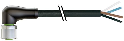 Schwarzer Winkelstecker angeschlossen an ein dreiadriges Kabel mit freiliegenden blauen, braunen und schwarzen Enden.