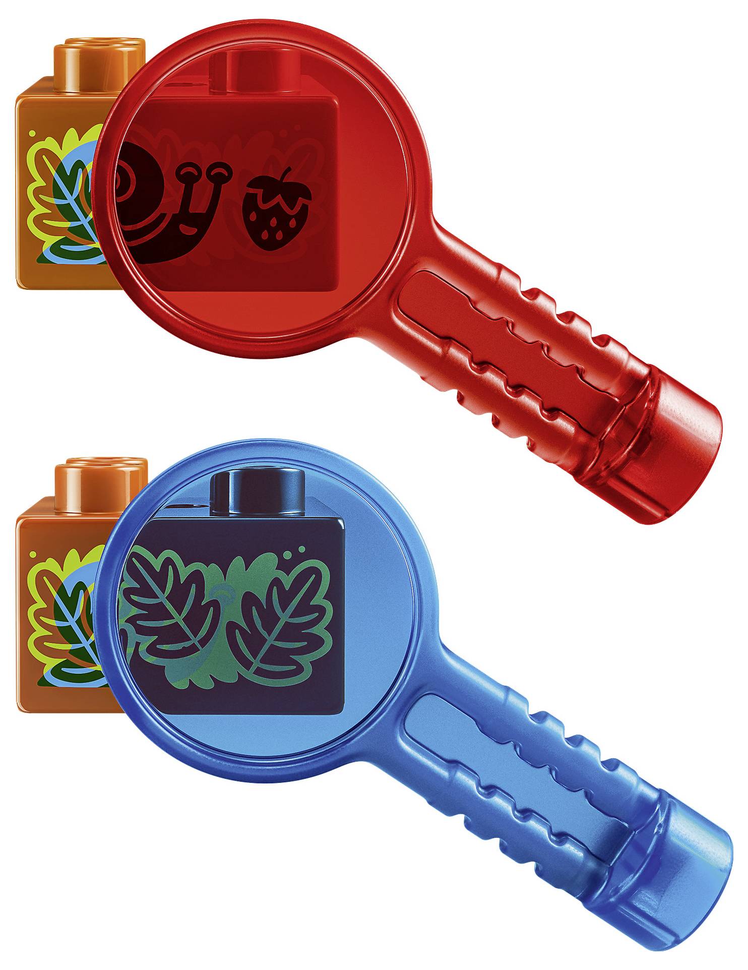Zwei Spielzeumlupengläser, eines rot und eines blau, vergrößern Blatt- und Obstsymbole auf orangefarbenen Blöcken vor weißem Hintergrund.